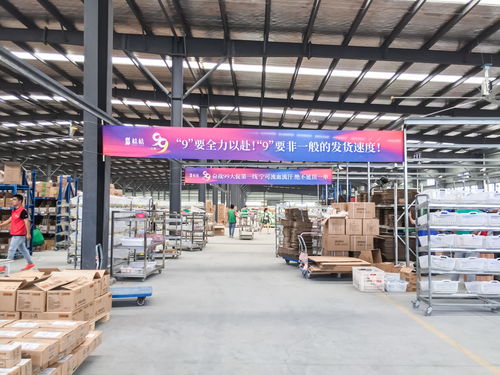 電商倉儲物流問題的五大建議 聚焦普通貨物倉儲服務(wù)