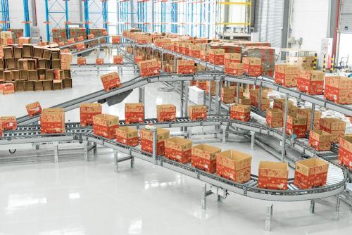 年貨節倉儲物流承壓挑戰及普通貨物倉儲服務應對策略